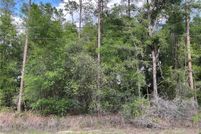 Undeveloped Land for sale in Citrus County, Florida