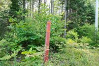Undeveloped Land for sale in Penobscot County, Maine
