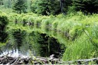 Property for sale in Washington County, Maine