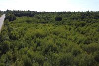 Undeveloped Land for sale in Hancock County, Maine
