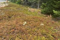 Property for sale in Hancock County, Maine