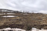 Undeveloped Land for sale in Costilla County, Colorado