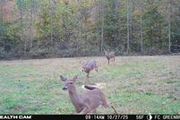 Property for sale in Fleming County, Kentucky