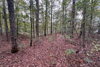 Property for sale in Winston County, Alabama