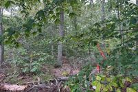 Undeveloped Land for sale in Calvert County, Maryland