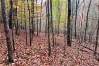 Undeveloped Land for sale in Wythe County, Virginia