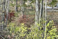 Undeveloped Land for sale in Randolph County, West Virginia