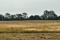 Property for sale in Craighead County, Arkansas