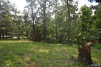 Lakefront Property for sale in Williamson County, Illinois