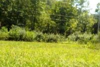 Undeveloped Land for sale in Floyd County, Kentucky