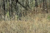 Property for sale in Pickens County, Georgia