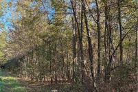 Property for sale in Tuscaloosa County, Alabama