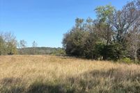 Undeveloped Land for sale in Green County, Kentucky