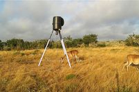 Property for sale in Duval County, Texas