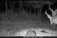 Property for sale in Allen County, Kansas