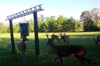 Property for sale in Madison County, Florida