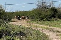 Property for sale in Hidalgo County, Texas
