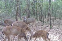 Property for sale in Santa Rosa County, Florida