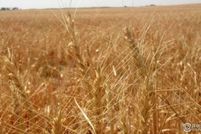 Property for sale in Weld County, Colorado