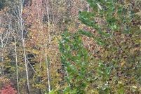 Undeveloped Land for sale in Kanawha County, West Virginia