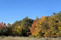 Property for sale in Alpena County, Michigan