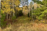 Undeveloped Land for sale in Aitkin County, Minnesota