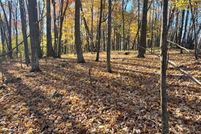 Undeveloped Land for sale in Monroe County, Wisconsin