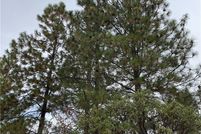 Property for sale in Butte County, California