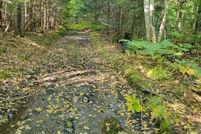 Undeveloped Land for sale in Aroostook County, Maine