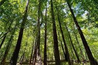 Property for sale in DeKalb County, Georgia