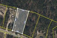 Undeveloped Land for sale in Pierce County, Georgia