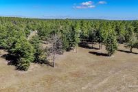 Undeveloped Land for sale in Escambia County, Florida