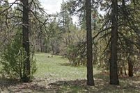 Property for sale in Archuleta County, Colorado