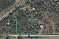 Undeveloped Land for sale in Dixie County, Florida