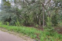 Undeveloped Land for sale in Levy County, Florida