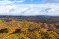 Property for sale in Lewis County, Kentucky