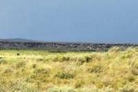 Property for sale in Apache County, Arizona