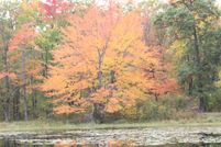 Property for sale in Cass County, Minnesota