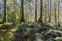 Property for sale in Lincoln County, Oregon