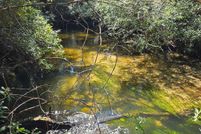 Property for sale in Santa Rosa County, Florida