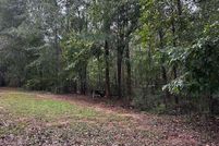 Undeveloped Land for sale in Forsyth County, Georgia
