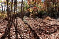 Undeveloped Land for sale in McDowell County, North Carolina