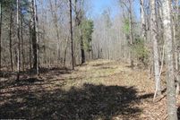 Undeveloped Land for sale in Decatur County, Tennessee