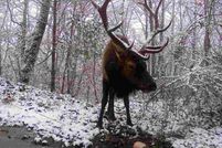 Farm Property for sale in Johnson County, Kentucky