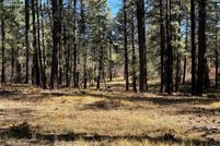 Property for sale in Rio Arriba County, New Mexico