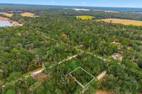 Undeveloped Land for sale in Dixie County, Florida
