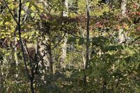 Property for sale in Camden County, Missouri