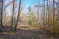 Undeveloped Land for sale in Livingston County, New York