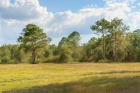 Undeveloped Land for sale in Hillsborough County, Florida