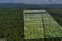 Property for sale in Pope County, Arkansas